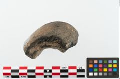 Foto von Steinaxt (NHMW-PRAE-078095)